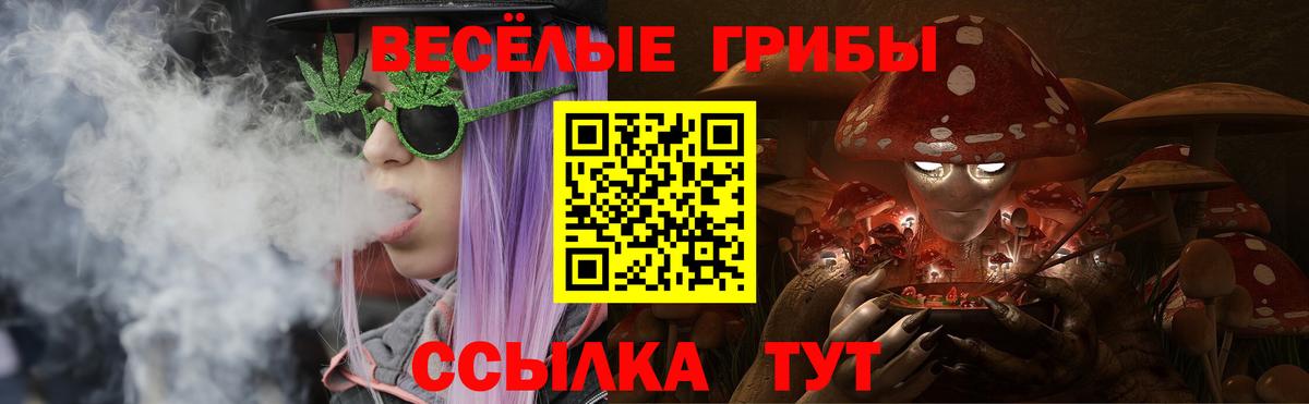 Можайск  Псилоцибиновые грибы прущие грибы  Вход с VPN 